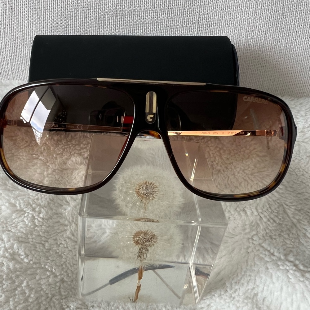 Carrera Brown Sunglasses
